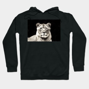 Monochrome | Black and White Series : The Lioness Hoodie
